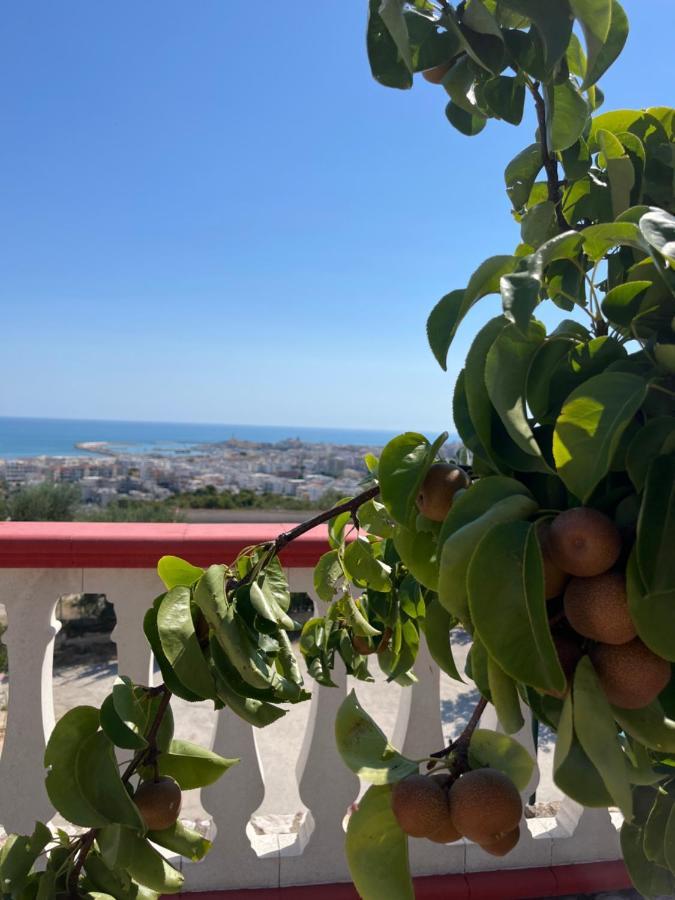 Case Vacanze Con Vista Panoramica Da Antonella Вьесте Экстерьер фото